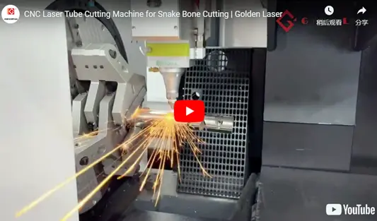 Machine de découpe tube laser CNC pour la coupe d'os de serpent